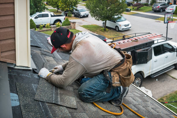 Professional Storm Damage Roof Repair technician working in Petersburg, IL